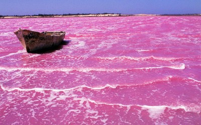 retba lake pink